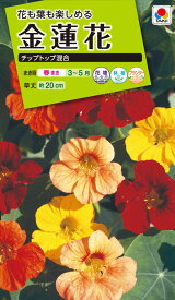 花種　NL200 金蓮花 チップトップ混合 小袋 [FKR339]【花の種】【タキイのタネ】【ガーデニング】