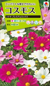 Ԏ@NL200 RXX \i^ v~A~bNX  [FCS380]yԂ̎zy^LC̃^lzyK[fjOz