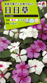 花種　NL200 日日草 リトル混合 小袋 [FNN210]【花の種】【タキイのタネ】【ガーデニング】