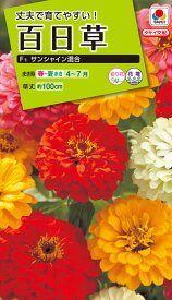 花種　NL200 百日草 F1 サンシャイン混合 小袋 [FZN652]【花の種】【タキイのタネ】【ガーデニング】