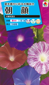 �Ԏ�@���{���� ��֍獬�� ���� [FAA110]�y�Ԃ̎�z�y�^�L�C�̃^�l�z�y�K�[�f�j���O�z