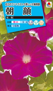 �Ԏ�@NL150 ���� �g�� ���� [FAA540]�y�Ԃ̎�z�y�^�L�C�̃^�l�z�y�K�[�f�j���O�z