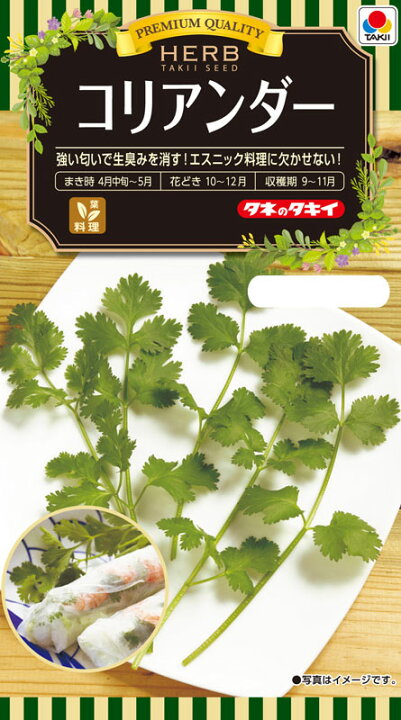 でおすすめアイテム パクチー コリアンダーの種 香菜 Rmladv Com Br