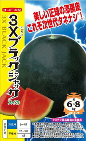 3Xブラックジャック（シードレス西瓜）　　種なし大玉スイカ種子　【シードレス西瓜】【西瓜種】【ナント種苗】【野菜の種】