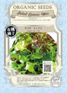 xr[[t^Xq@T_~bNX@@e3.3g@y؎qzyO[tB[hvWFNgzy^X̎z