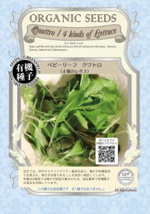 xr[[t^Xq@Ng@i4̃^Xj@e0.8g@y؎qzyO[tB[hvWFNgzy^X̎z