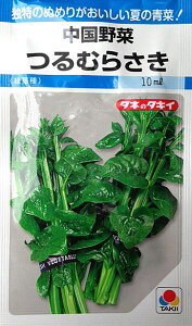 ނ炳@120y؁zy^LC̃^lzyh{؁zy؂̎z