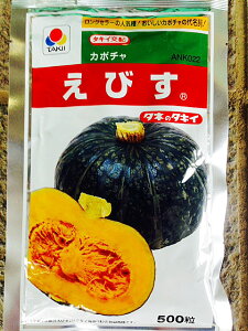 т@500@ڂq@yZ̎zy^LC̃^lzy؂̎z