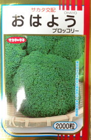 ブロッコリー種子　おはよう　【アントシアンフリーブロッコリー】　【おはよう　2000粒】【おはよう　ペレット5000粒】　【野菜種子】【サカタ交配】【ブロッコリーの種】
