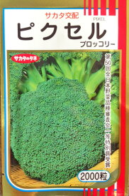 ピクセル　ブロッコリー種子　2000粒　　【野菜種子】　【サカタのタネ】【ブロッコリーの種】