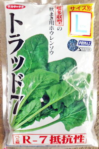 zE\E@gbh7@@PRIMAXq@^@H܂pzE\E@@L20000@M30000