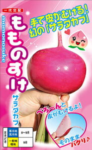 �����̂����@�T���_�J�u��q�@�y��؎�q�z�@�y�i���g��z�z�y�J�u�̎�z