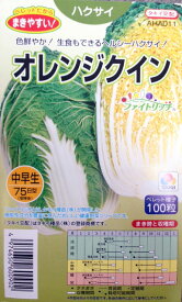 白菜種子　オレンジクイン　ペレット100粒　農水省登録品種(品種名　オレンジクイン）【タキイ種苗】【白菜の種】【野菜種子】