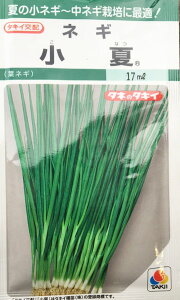 小夏 葉ねぎ種子 15ml  小袋種子 【タキイ種苗】【野菜種子】