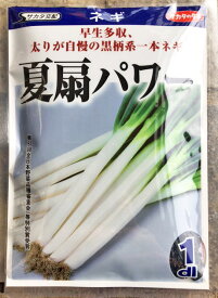 夏扇パワー　1dl袋【根深ネギ種】【サカタのタネ】【野菜の種】