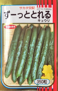 [ƂƂ@350@LEq@yTJ^̃^lzy؂̎z