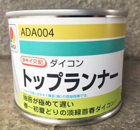 春大根種子　トップランナー大根　　2dl缶【タキイのタネ】【大根タネ】