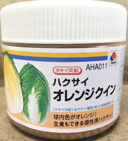 白菜種子　オレンジクイン　ペレット5000粒　農水省登録品種(品種名　オレンジクイン）【タキイ種苗】【白菜の種】【野菜種子】