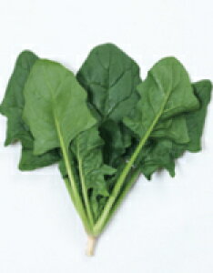 zE\E@WXeBX@@PRIMAXq@tĂ܂pzE\E@@@M30000