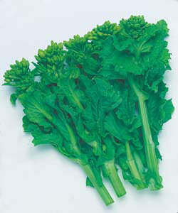 ؎q@~؁@ioiq@5ml@y؎qz