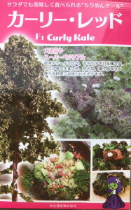 T_P[q@J[[Ebh@q@R[g30y؎qz@yN؁z