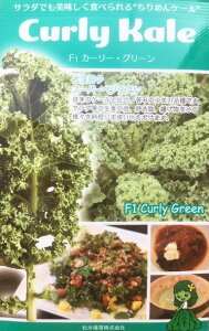 T_P[q@J[[EO[@q@R[g30y؎qz@yN؁z