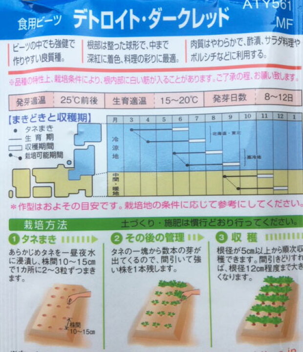 71円 玄関先迄納品 ビーツ種子 デトロイト ダークレッド 9ml 小袋種子 71円 玄関先迄納品 ビーツ種子 デトロイト ダークレッド 9ml 小袋種子