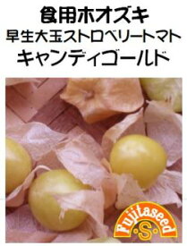 食用ほおずき種子　早生大玉ストロベリートマト　キャンディゴールド　30粒　　【藤田種子】【食用ほおずき種子】【野菜の種】