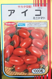 アイコ　ミニトマト　1000粒　【トマト種】【タキイのタネ】【野菜の種】