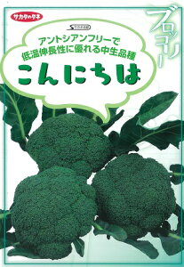 ubR[q@ɂ́@yɂ́@2000z@yɂ́@ybg5000zyAgVAt[zyTJ^zzyubR[̎z