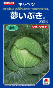 Ԃ@Lxcq@2000@@@Nǂ@~ǂy؎qzy^LCcz