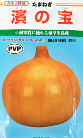 濱の宝　玉ねぎ種子　20ml　極早生種　カネコ種苗【野菜種子】農林水産省登録品種(品種名　浜の宝　海外持出禁止　公示(農林水産省HP参照)