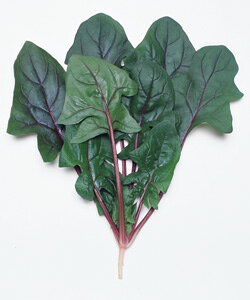 T_@zE\Eq@9mly؎qzy^LCzzy@@̎z