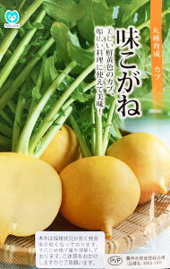 ˁ@@i_ѐYȓo^i@MKB-599jyێ琬zy؎qzyJu̎z