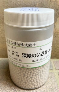 @[΂̂Ȃ@lMq@ybg5痱@y؎qzygL^cz