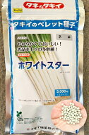 ホワイトスター　根深ネギ種子　ペレット5千粒　【タキイ種苗】【野菜種子】