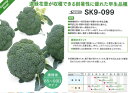 SK9-099　ブロッコリー種子　　【野菜種子】【サカタ交配】【ブロッコリーの種】