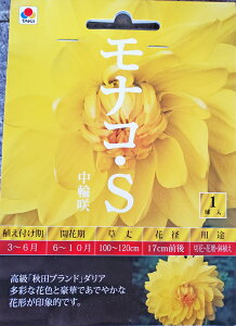 球根 ダリアの人気商品 通販 価格比較 価格 Com