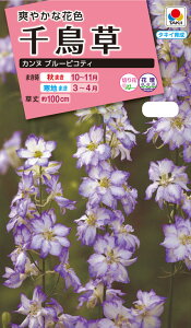 ԃ^l@NL300 璹 Jk u[sReB  [FTD243]yԂ̎zy^LC̃^lzyK[fjOz