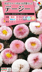 ԃ^l@NL300 f[W[ ^b\[ Xgx[&N[  [FDS259]yԂ̎zy^LC̃^lzyK[fjOz
