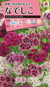 ԃ^l@ NL300 Ȃł PWg~bNX  [FNDA25]yԂ̎zy^LC̃^lzyK[fjOz