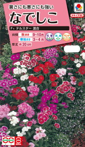 ԃ^l@NL300 Ȃł F1 eX^[   [FND539]yԂ̎zy^LC̃^lzyK[fjOz