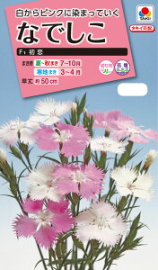 ԃ^l@ NL300 Ȃł F1   [FND511] yԂ̎zy^LC̃^lzyK[fjOz