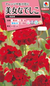 ԃ^l@NL300 Ȃł F1 V  [FBN532]yԂ̎zy^LC̃^lzyK[fjOz