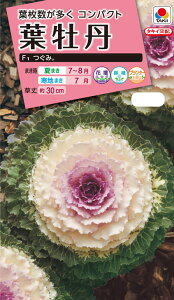 ԃ^l@NL300 tO F1   [FHB501]yԂ̎zy^LC̃^lzyK[fjOz