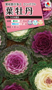 ԃ^l@NL300 tO F1 ݍ  [FHB502]yԂ̎zy^LC̃^lzyK[fjOz