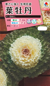 ԃ^l@NL300 tO F1 ͂  [FHB512]yԂ̎zy^LC̃^lzyK[fjOz