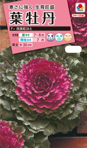 ԃ^l@NL300 tO F1 Ǎg͂  [FHB514]yԂ̎zy^LC̃^lzyK[fjOz