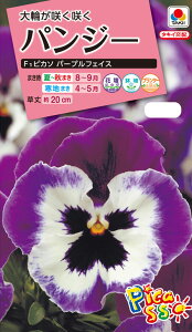 ԃ^l@NL300 pW[ F1 sJ\ p[vtFCX  [FPA666]yԂ̎zy^LC̃^lzyK[fjOz