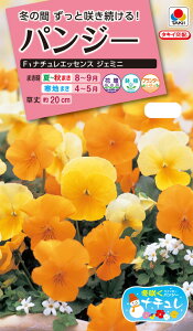 ԃ^l@NL300 pW[ F1 i`GbZX WF~j  [FPA765]yԂ̎zy^LC̃^lzyK[fjOz